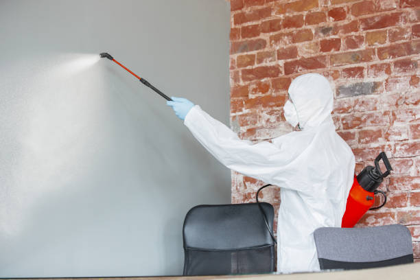 Best Mold Remediation for Rental Properties  in Oologah, OK