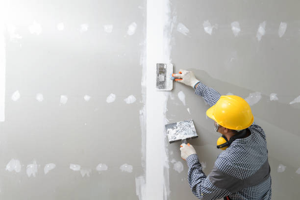 Mold Odor Removal Services in Oologah, OK