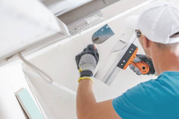 Best Mold-Related Health Consultation  in Oologah, OK